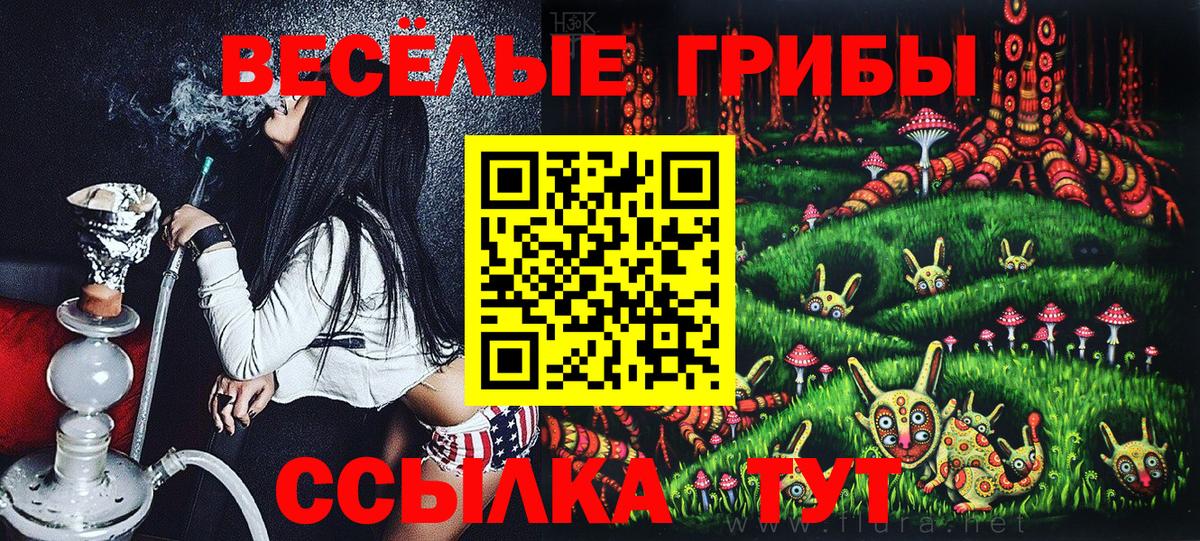Галлюциногенные грибы GOLDEN TEACHER Копейск