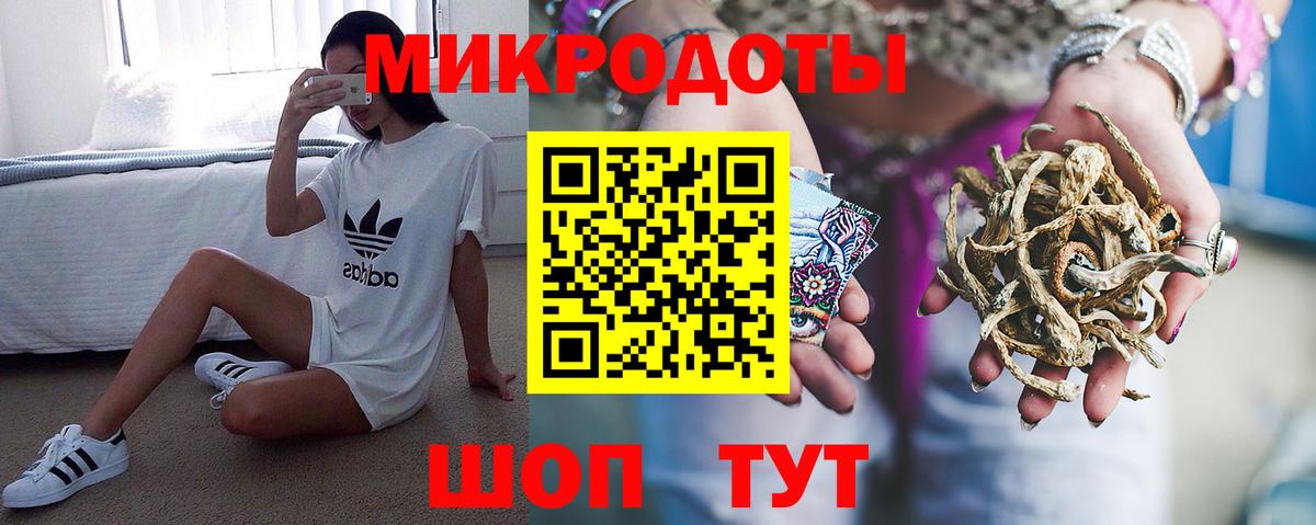 Галлюциногенные грибы Magic Shrooms  цены наркотик  Копейск  Вход с VPN 